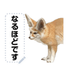 動物園の仲間たち(ver2)ほほえみフレンズ（個別スタンプ：24）