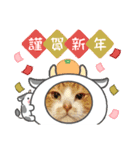 ニャンズ年賀 ’21（個別スタンプ：2）