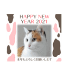 ニャンズ年賀 ’21（個別スタンプ：3）