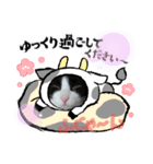 ニャンズ年賀 ’21（個別スタンプ：5）