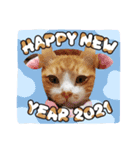 ニャンズ年賀 ’21（個別スタンプ：7）