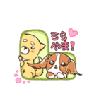 柴犬くんとキャバリアちゃんのスタンプ（個別スタンプ：13）