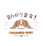 柴犬くんとキャバリアちゃんのスタンプ（個別スタンプ：16）