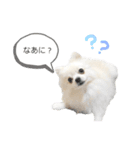 エルくんスタンプ ④（個別スタンプ：3）