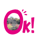 OK＆NO＆ぴえんスタンプ（個別スタンプ：3）