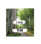 あかねのまいにちⅡ（個別スタンプ：13）