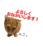 ふくちゃん♡ちゃーくん（個別スタンプ：2）