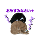 ふくちゃん♡ちゃーくん（個別スタンプ：7）