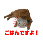 ふくちゃん♡ちゃーくん（個別スタンプ：9）