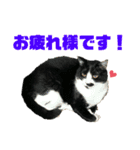 ふくちゃん♡ちゃーくん（個別スタンプ：16）