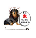 ミニチュアダックスの気ままなランチ⑦（個別スタンプ：8）