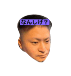 こーでぃーだお（個別スタンプ：5）