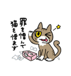 ぜんぶ猫になったことわざ（個別スタンプ：5）