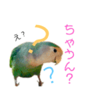 うちのもも知りませんか？ 〜関西弁Ver〜（個別スタンプ：12）