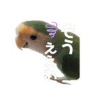 うちのもも知りませんか？ 〜関西弁Ver〜（個別スタンプ：13）