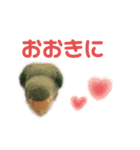うちのもも知りませんか？ 〜関西弁Ver〜（個別スタンプ：17）