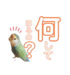 うちのもも知りませんか？ 〜関西弁Ver〜（個別スタンプ：18）