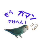 うちのもも知りませんか？ 〜関西弁Ver〜（個別スタンプ：19）