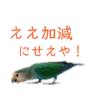 うちのもも知りませんか？ 〜関西弁Ver〜（個別スタンプ：21）