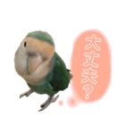 うちのもも知りませんか？ 〜3〜（個別スタンプ：2）