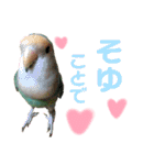 うちのもも知りませんか？ 〜3〜（個別スタンプ：3）