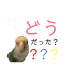 うちのもも知りませんか？ 〜3〜（個別スタンプ：4）