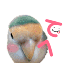 うちのもも知りませんか？ 〜3〜（個別スタンプ：8）