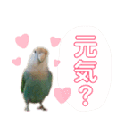 うちのもも知りませんか？ 〜3〜（個別スタンプ：11）