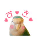 うちのもも知りませんか？ 〜3〜（個別スタンプ：13）