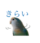 うちのもも知りませんか？ 〜3〜（個別スタンプ：14）
