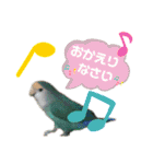 うちのもも知りませんか？ 〜3〜（個別スタンプ：17）