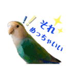 うちのもも知りませんか？ 〜3〜（個別スタンプ：19）