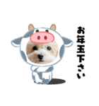 16. ココ（個別スタンプ：8）