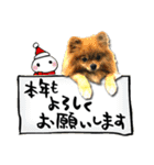 冬の犬ことば（個別スタンプ：8）