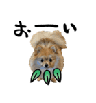 冬の犬ことば（個別スタンプ：26）