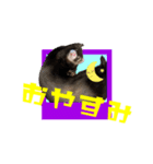 ぴの スタンプ（個別スタンプ：8）