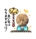 琥珀と銀次郎①（個別スタンプ：7）