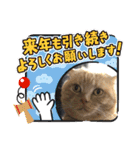 琥珀と銀次郎①（個別スタンプ：10）