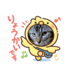 琥珀と銀次郎①（個別スタンプ：18）