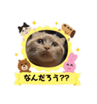 琥珀と銀次郎①（個別スタンプ：29）