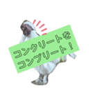 トムとジュリーのすてきなスタンプ（個別スタンプ：2）