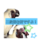 トムとジュリーのすてきなスタンプ（個別スタンプ：7）