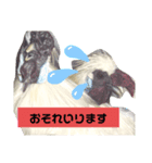 トムとジュリーのすてきなスタンプ（個別スタンプ：8）
