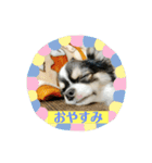 小梅ちゃんスタンプ★（個別スタンプ：11）