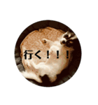小梅ちゃんスタンプ★（個別スタンプ：13）