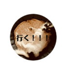 小梅ちゃんスタンプです！（個別スタンプ：13）