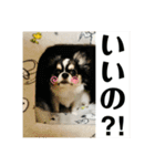 小梅ちゃんスタンプです！（個別スタンプ：16）