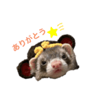 ぴのスタンプ☆（個別スタンプ：1）