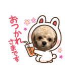 チョコスタンプ02（個別スタンプ：8）