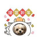 チョコスタンプ02（個別スタンプ：16）